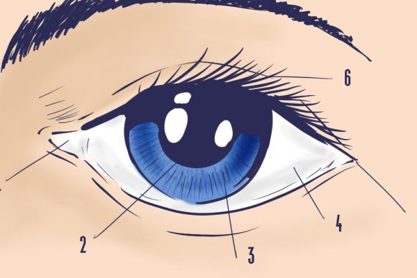 Эти дешевые, но ядреные средства из аптеки уберут все мимические морщины за 8 дней!