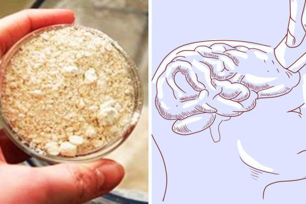 Если вы забываете… Чтобы укрепить память, пользуемся мощным средством: на удивление, дешевое, есть в каждой аптеке!