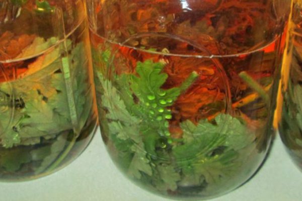 Натуральное средство от кашля: всего 3 простых ингредиента…