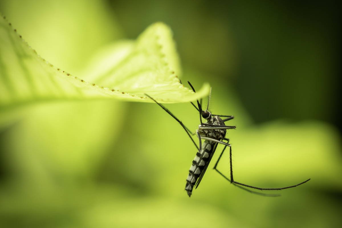 средство от комаров и клещей