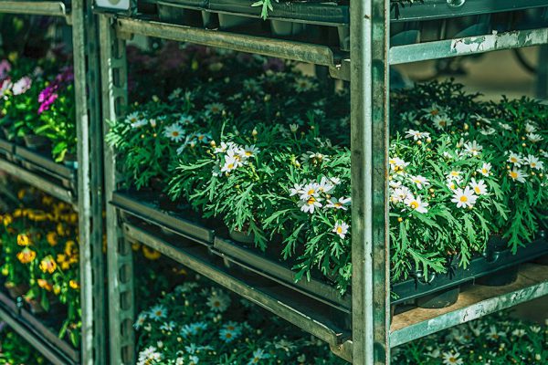 Подборка стильных полок для вазонов