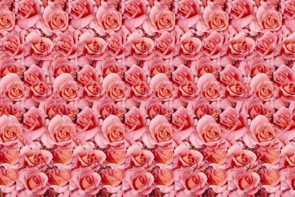 Тот, кто разглядит три сердца на стереокартинке, вскоре повстречает роковую любовь