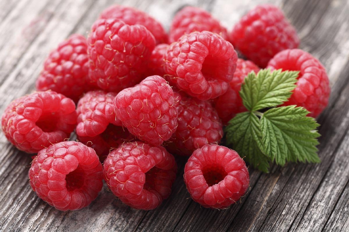 королева елизавета стиль