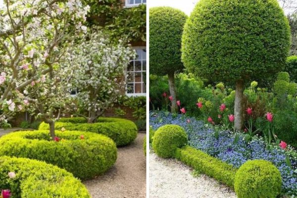 Мастерство искусного подстригания кустов