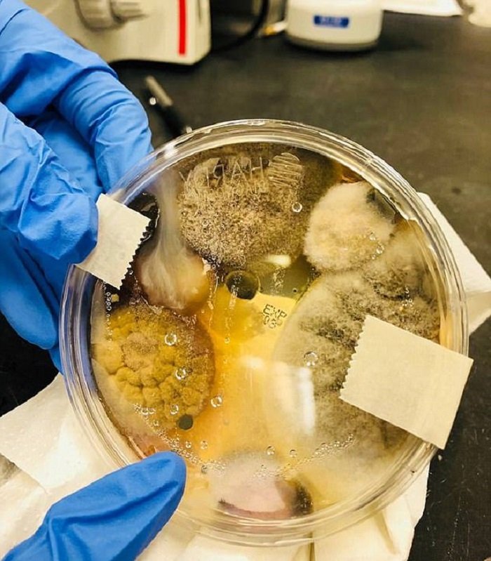 сушилка в общественном туалете