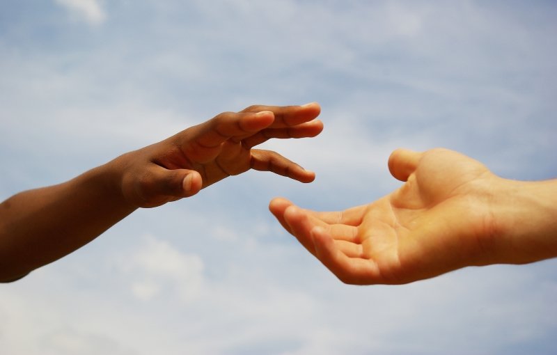 в чем суть мудрости