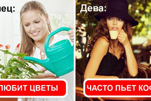 Привычки хозяек по знаку зодиака