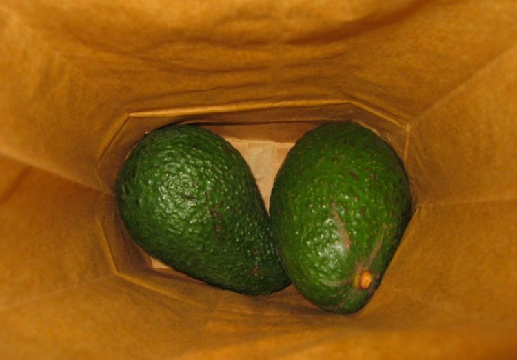 как хранить продукты