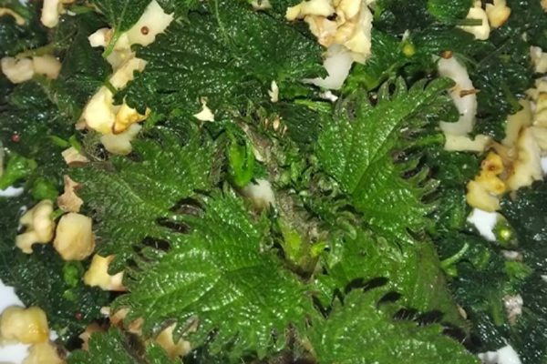 Бабушкин салат из крапивы, рецепт дала сердобольная женщина в поликлинике