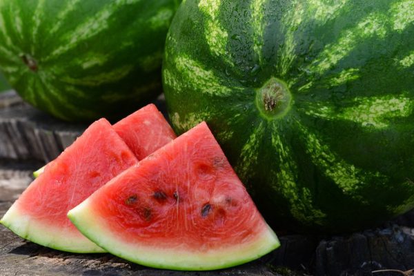 Fresh watermelon on stump of tree, closeup