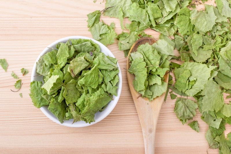 Чем полезны березовые листья Здоровье,Болезни,Лайфхаки,Медицина,Профилактика