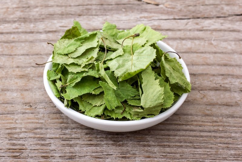 Чем полезны березовые листья Здоровье,Болезни,Лайфхаки,Медицина,Профилактика