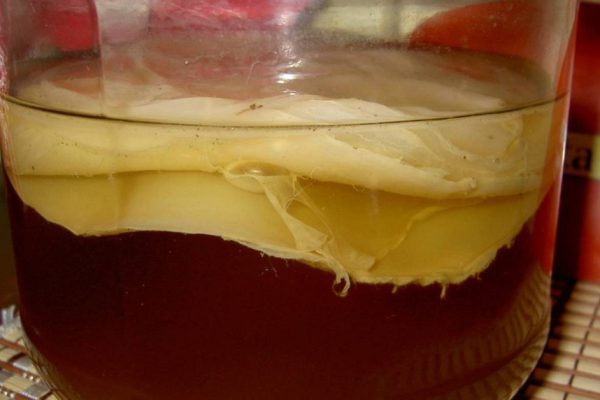 «Японская матка»! Вот почему тысячи японок пьют настой чайного гриба в обязательном порядке.