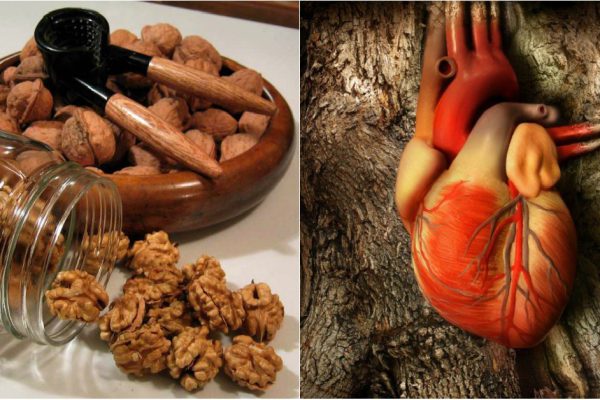 Съешь 5 орехов и подожди 4 часа: вот что произойдет с твоим организмом!