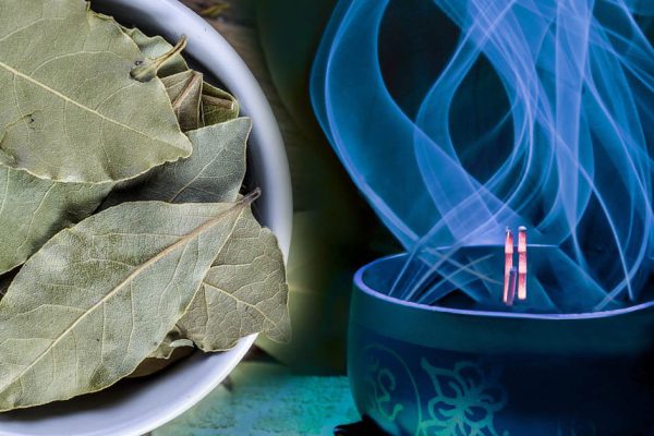 Что будет, если поджигать лавровый лист на закате