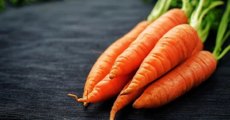 лечебные свойства морковной ботвы