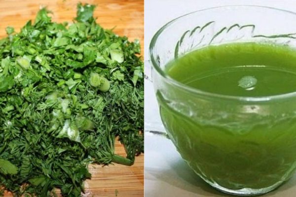 Девочки, начинаем худеть прямо сегодня! Чтобы эффективно и без вреда, приготовь изумрудный отвар…