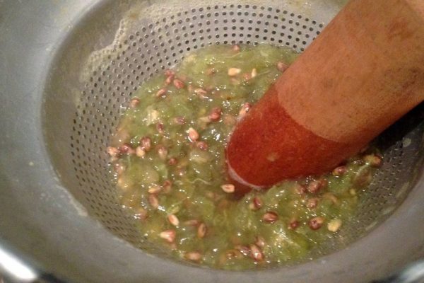 Избирательно влияют на раковые клетки. Снижают уровень холестерина, регулируют кровяное давление…