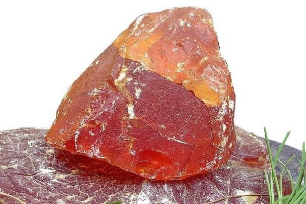 Этим лечились наши предки! Природное чудо, которое исцелит от множества болезней.