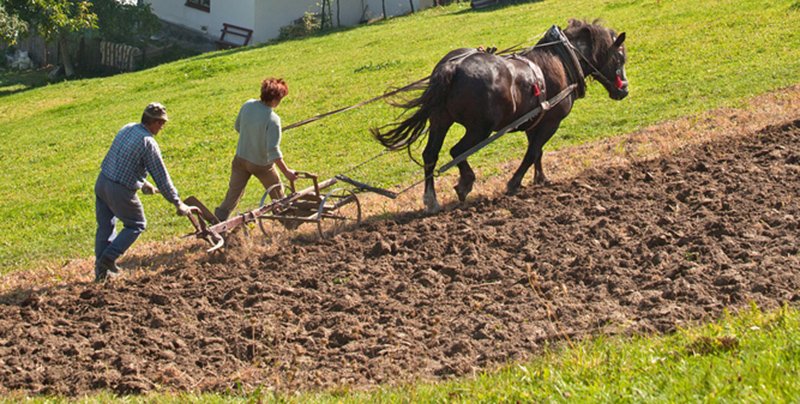 святой алексий