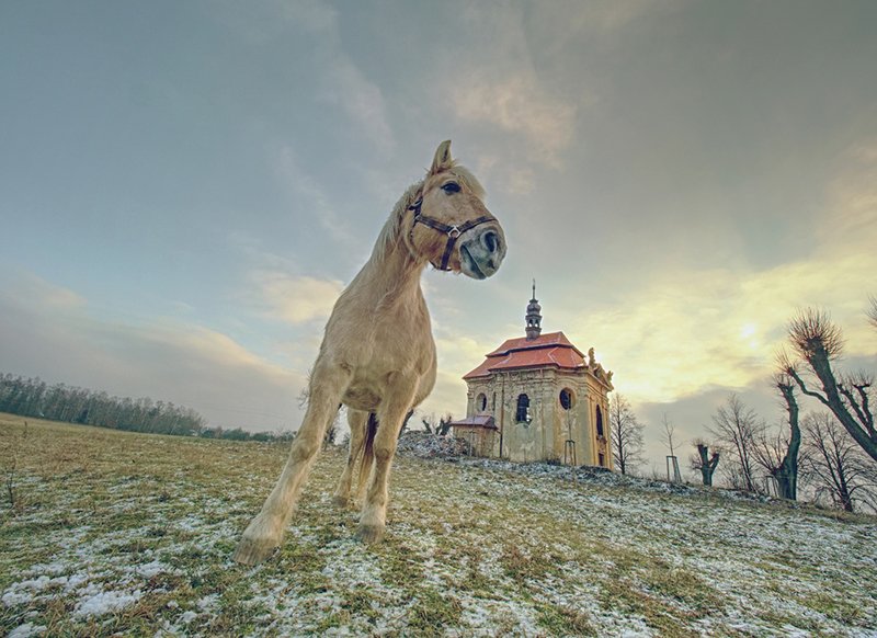 святой алексий