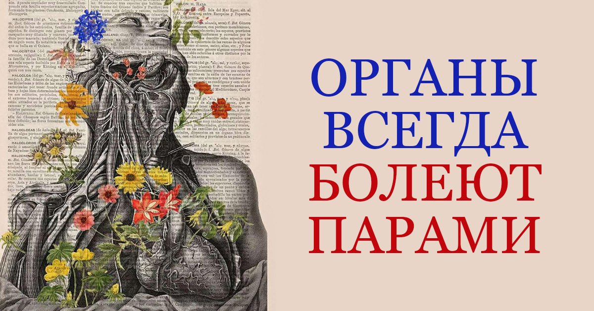 Опытный китайский врач: «Неправильно лечитесь, товарищи! Органы всегда болеют парами...»