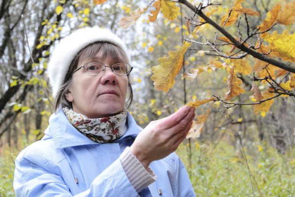 Посоветовала сыну развестись, а он взял и подал заявление, невестка в бешенстве