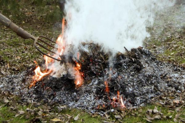 Послушный дачник не сжигает мусор, поговорили с ним по душам