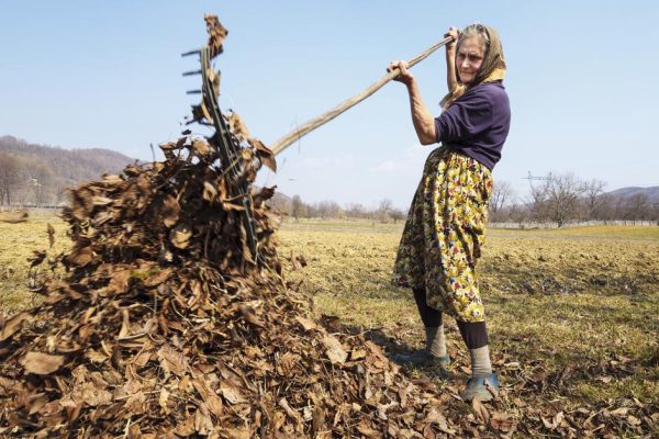 Почему нельзя жечь ветки на участке и жарить шашлык на костре