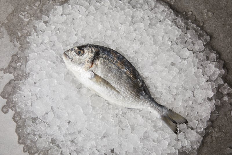 Ошибки при жарке рыбы Кулинария