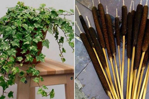 Какие вещи в доме несут темную энергию и провоцируют скандалы