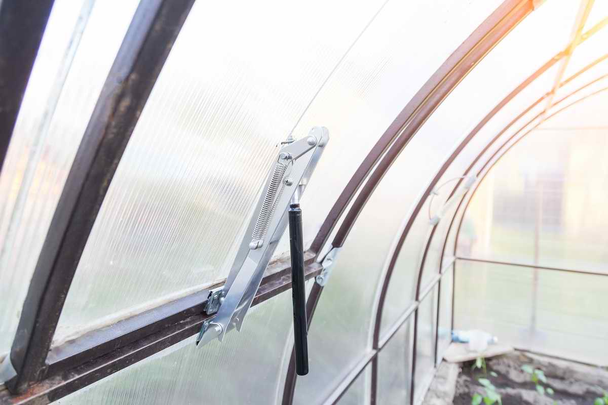 теплицы для дачи