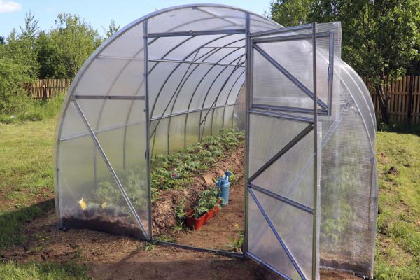 Снесли теплицу на даче и не жалеем, только лишняя морока была