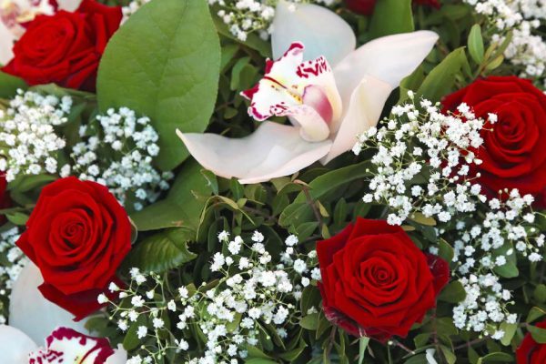 Найди спрятанный цветок и узнай, что в твоем характере притягивает людей