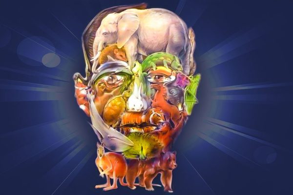 Тест, который проявляет ранние признаки старческого нарушения мышления