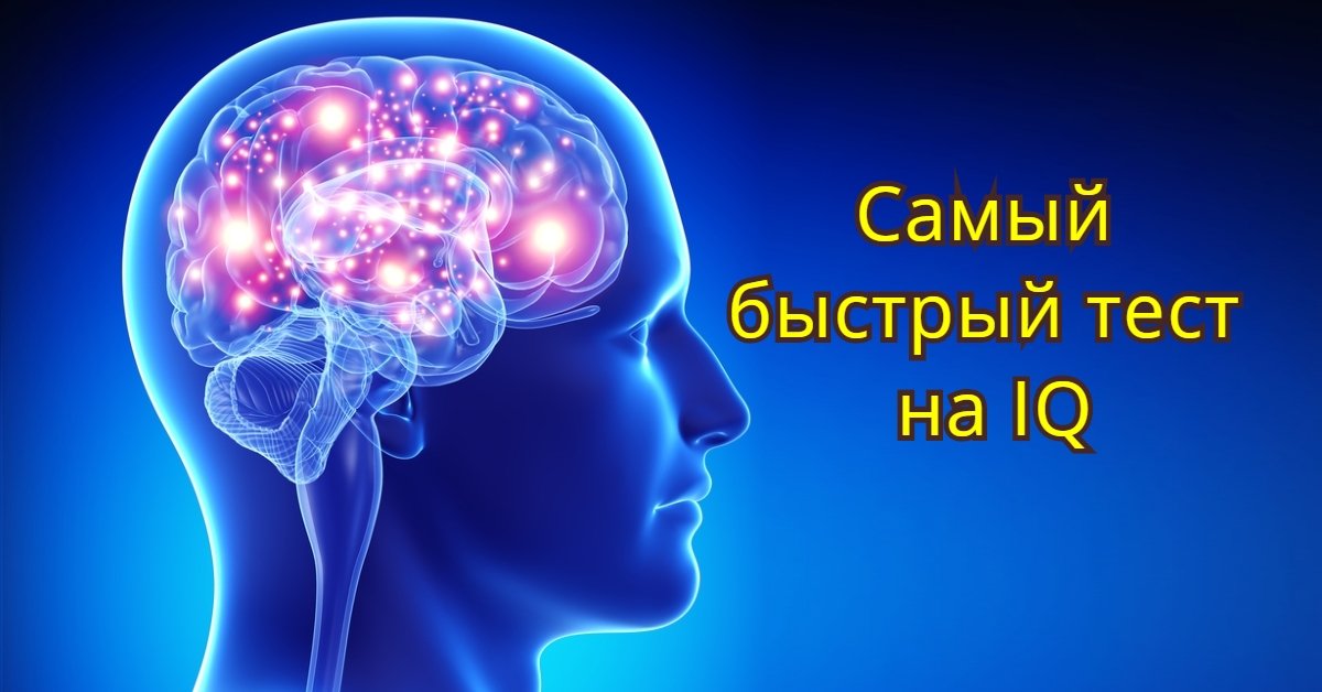 Обозначьте элементы мобильных устройств 4 правильных ответа f сканер g связывающие компоненты