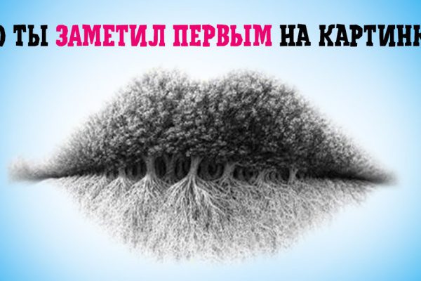 Интроверт ты или экстраверт, изучи картинку, чтобы узнать истину о себе