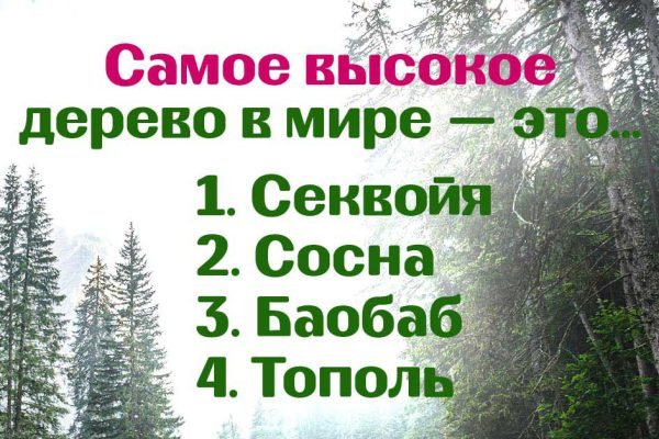 Если ты считаешь себя умником, попробуй ответить правильно хотя бы на 8 вопросов из 10