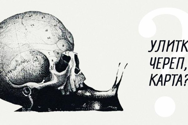 Точный в любую погоду тест на тип личности