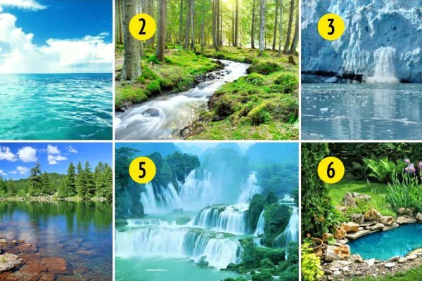 Выбери водоем, и мы расскажем, что ждет тебя в 2023 году