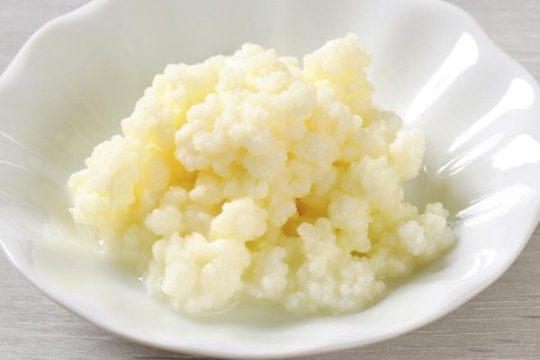 Чем полезен тибетский молочный гриб