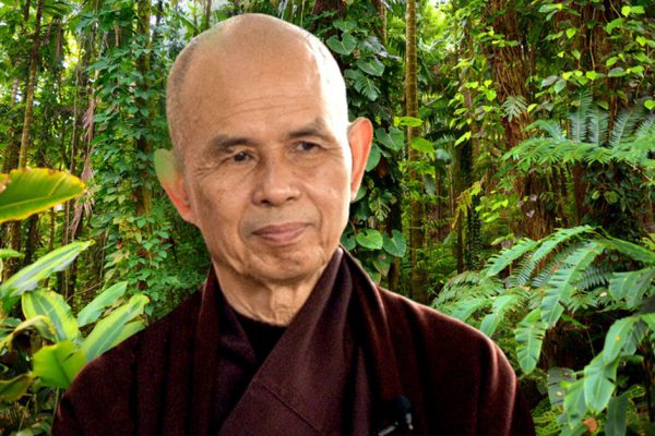 Вьетнамский монах: «Мой возраст — 91, прошу, не ждите у моря погоды, отправляйтесь в отпуск в срочном порядке»