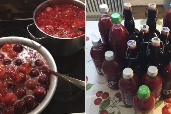 Приглашаю на дегустацию ткемали, который сварила после визита в Грузию