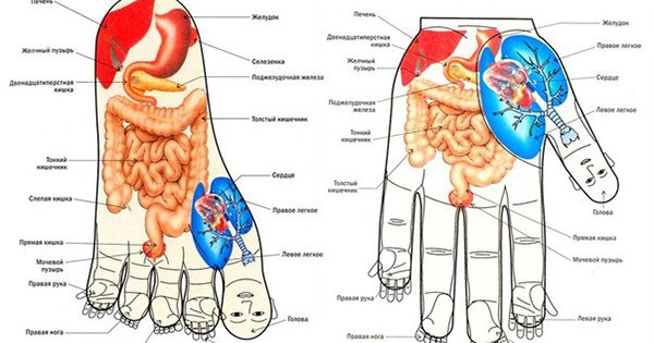 Экспресс-массаж на все случаи жизни. Стимуляция точек на теле творит чудеса!