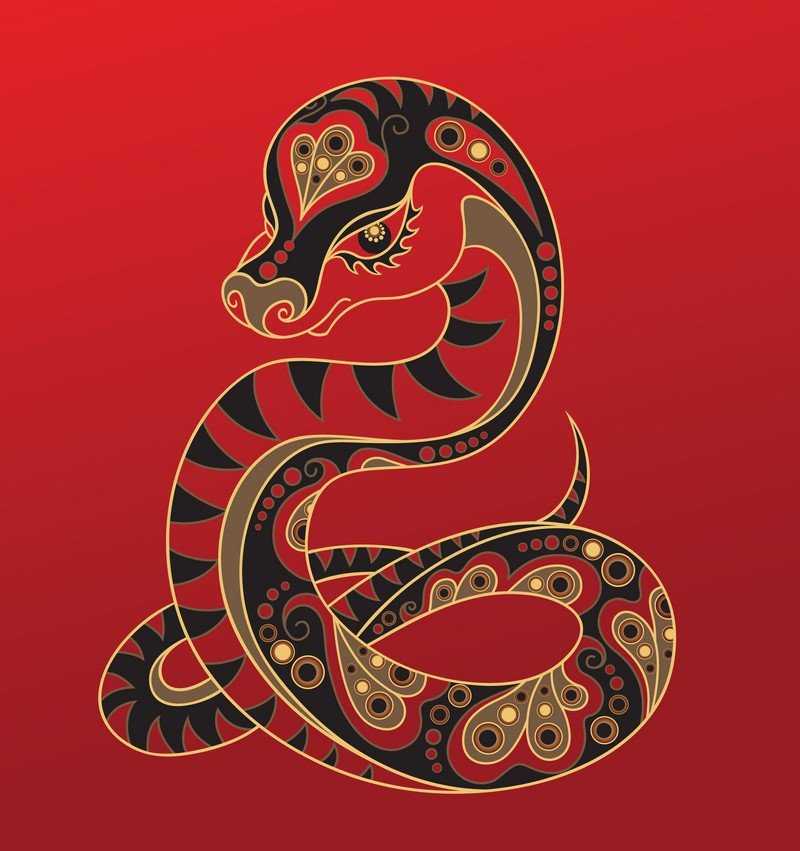 женский гороскоп на 2019 год