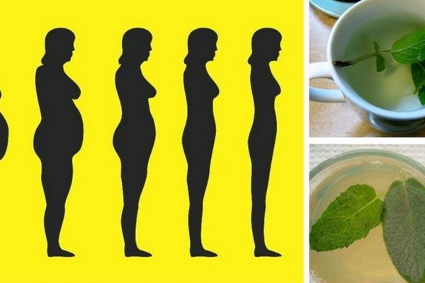 10 лучших трав для уничтожения жира в области живота и выведения токсинов!