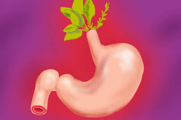 Травы для желудка, улучшающие пищеварение. Ты себе даже не представляешь — большинство трав уже есть на кухне!