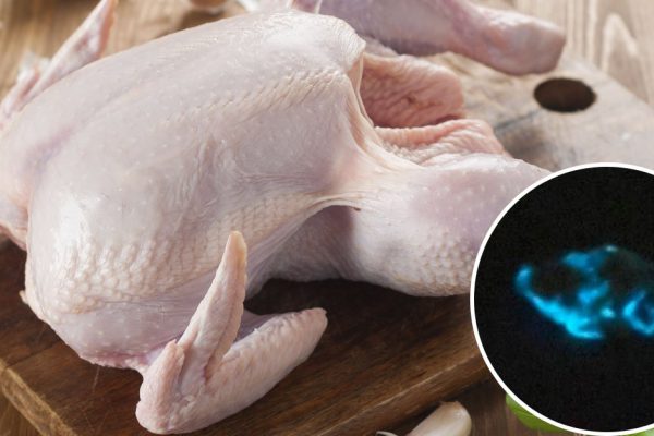 Что сделала хозяйка, когда заметила, что куриная тушка светится в темноте