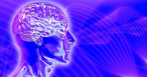 Фитнес для мозга: нестандартные упражнения, которые эффективно развивают твой интеллект!