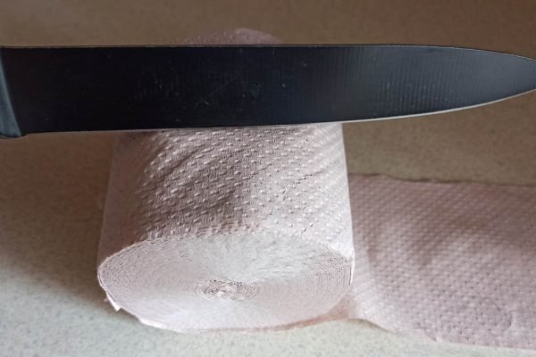 Сегодня я покажу, зачем разрезаю рулон туалетной бумаги пополам, ты будешь делать так же